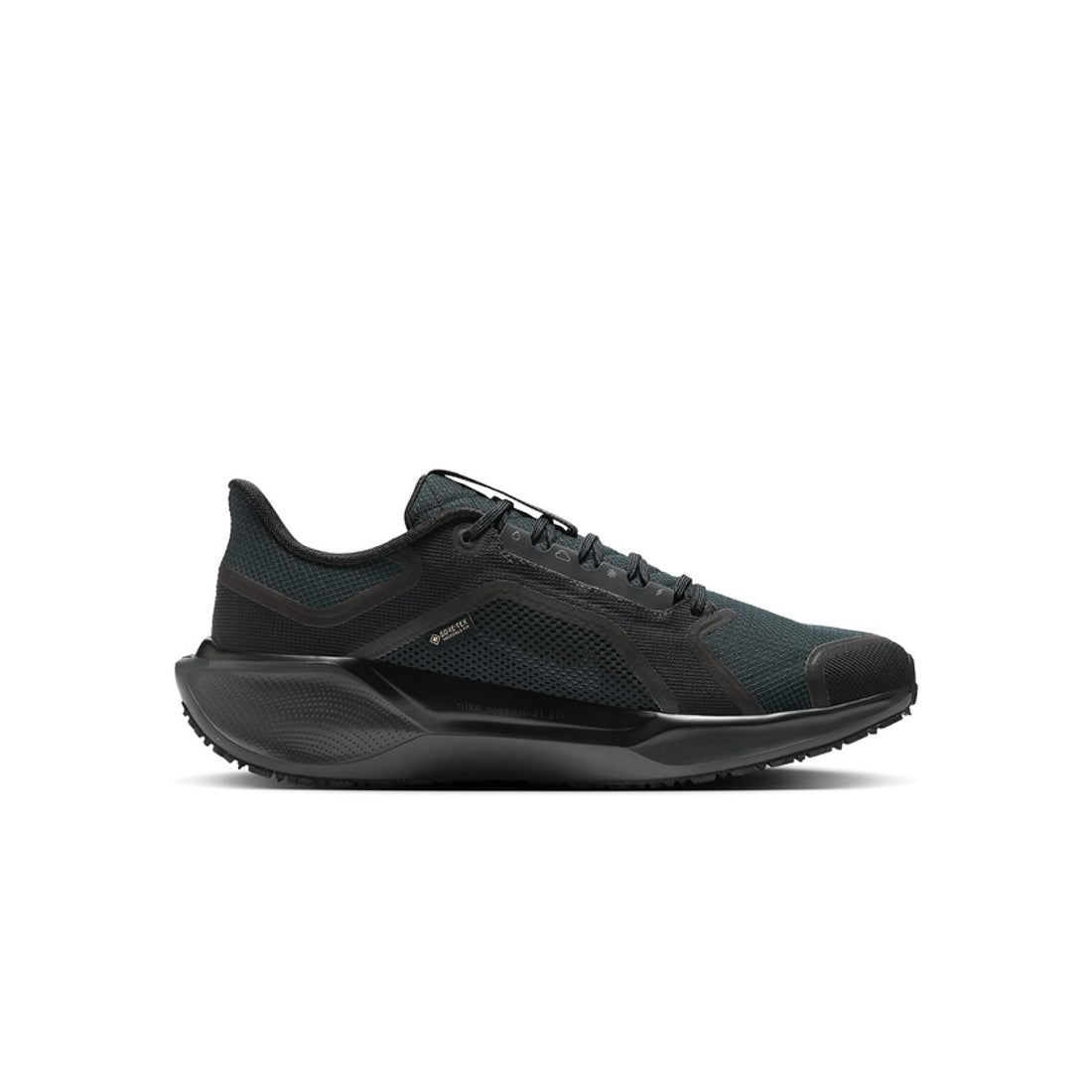ナイキ NIKE ナイキ エア ズーム ペガサス 41 GTX （BLACK/BLACK） -靴