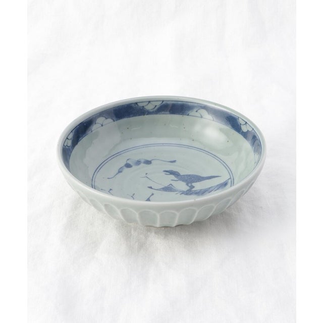 江戸っ子恐竜 鎬竜 中鉢【返品不可商品】 （その他）