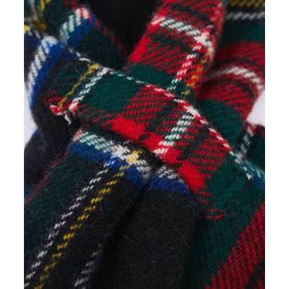 【TWEEDMILL / ツイードミル】Fleece Double Face L （グリーン系その他1）｜詳細画像