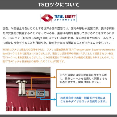 正規品10年保証 スーツケース メンズ レディース 74L 1週間 7泊 大きめ 大容量 キャスターストッパー付 TSロック 国内旅行 海外旅行 旅行 ace エース パリセイド3-Z 06915（ブラックカーボン）｜詳細画像