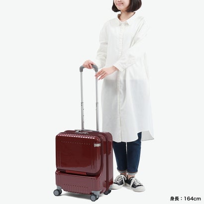 正規品10年保証 スーツケース メンズ レディース 機内持ち込み 32L 4泊 3泊 3泊4日 キャスターストッパー付 TSロック 国内旅行 旅行 出張 エース パリセイド3-Z 06913 （ヘアラインブロンズ）｜詳細画像
