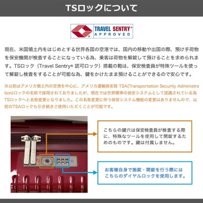 正規品10年保証 スーツケース メンズ レディース 機内持ち込み 32L 4泊 3泊 3泊4日 キャスターストッパー付 TSロック 国内旅行 旅行 出張 エース パリセイド3-Z 06913 （ヘアラインブロンズ）｜詳細画像