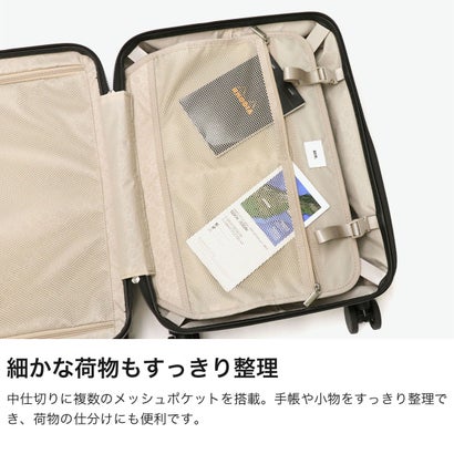 正規品10年保証 スーツケース メンズ レディース 機内持ち込み 32L 4泊 3泊 3泊4日 キャスターストッパー付 TSロック 国内旅行 旅行 出張 エース パリセイド3-Z 06913 （ヘアラインブロンズ）｜詳細画像