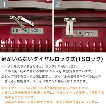 正規品10年保証 スーツケース メンズ レディース 機内持ち込み 32L 4泊 3泊 3泊4日 キャスターストッパー付 TSロック 国内旅行 旅行 出張 エース パリセイド3-Z 06913 （ヘアラインブロンズ）｜詳細画像