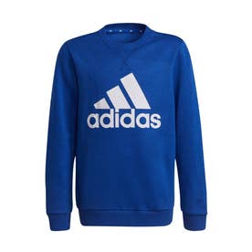 エッセンシャルズ スウェット / Essentials Sweatshirt （ブルー）
