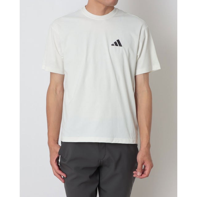 メンズ 半袖Tシャツ EMO COOL HANABI グラフィックTシャツ LD8310 （off white）