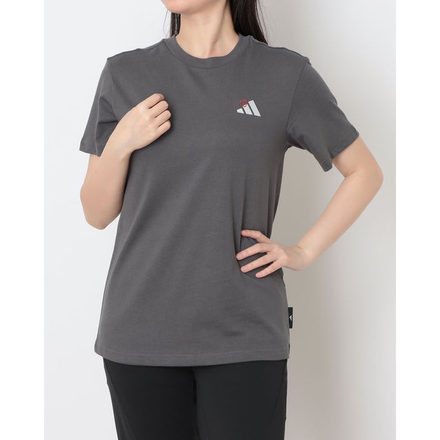 レディース 半袖Tシャツ エンブロイダリー パック レギュラー グラフィックTシャツ KT2736 （グレーシックス）