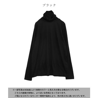 裏起毛 両面起毛 タートルネック 長袖 カットソー レディース トップス インナー ハイネック あったか 暖かい 防寒 レイヤード 重ね着 無地 秋冬 Tシャツ 黒 冬インナー 着回し 暖か 冬コーデ （ブラック）｜詳細画像