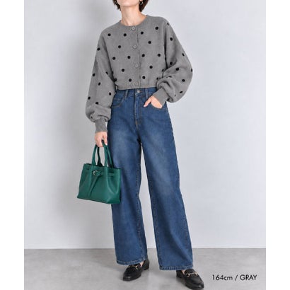 ドット柄ショートカーディガン （グレー）｜詳細画像