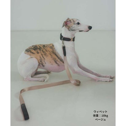 MATIE/中型犬/首輪【Direction by 有末 麻祐子】 （ベージュ）｜詳細画像