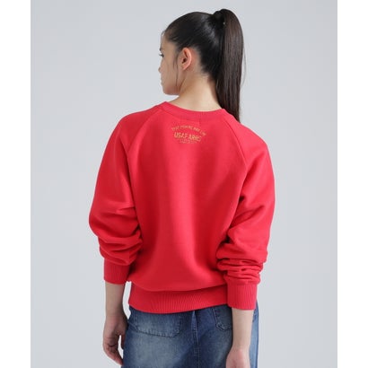 DS LーRAGLAN SL USAF CREW SW （ブラック）｜詳細画像