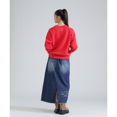 DS LーRAGLAN SL USAF CREW SW （ブラック）｜詳細画像