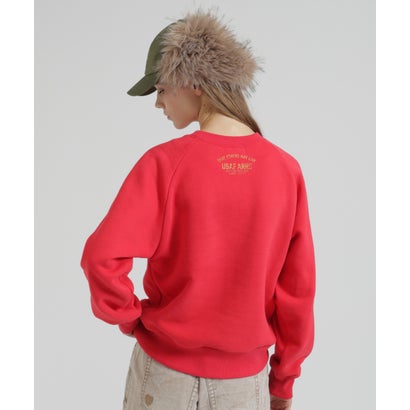 DS LーRAGLAN SL USAF CREW SW （オートミール6）｜詳細画像