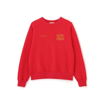 DS LーRAGLAN SL USAF CREW SW （オートミール6）｜詳細画像