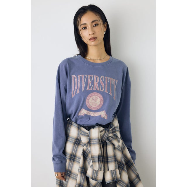 ピグメントロックTEE BLU