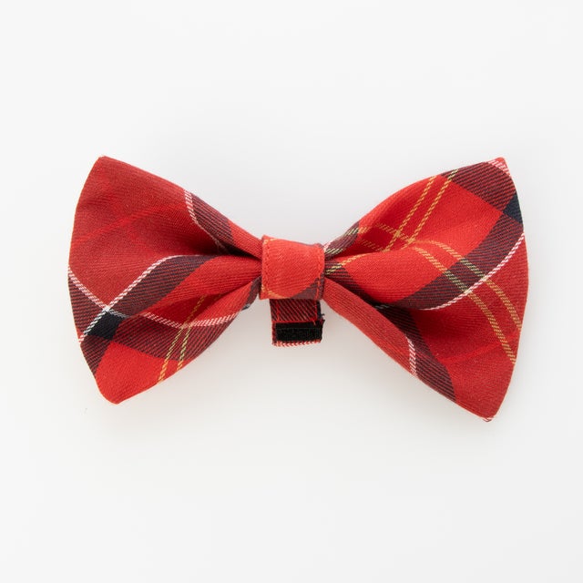 TARTAN DOG BOW TIE （cardinal tartan）