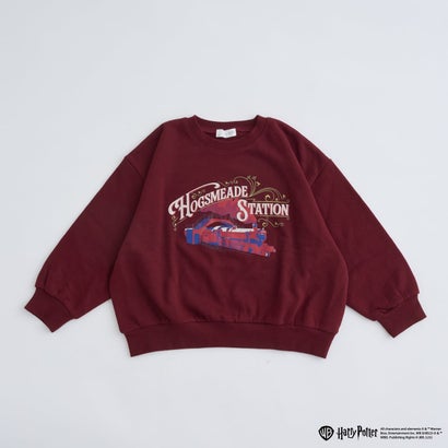 【Harry Potter】【裏起毛】【ムテキスウェット】アソートグラフィックトレーナー （グリーン）｜詳細画像