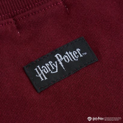 【Harry Potter】【裏起毛】【ムテキスウェット】アソートグラフィックトレーナー （黒）｜詳細画像