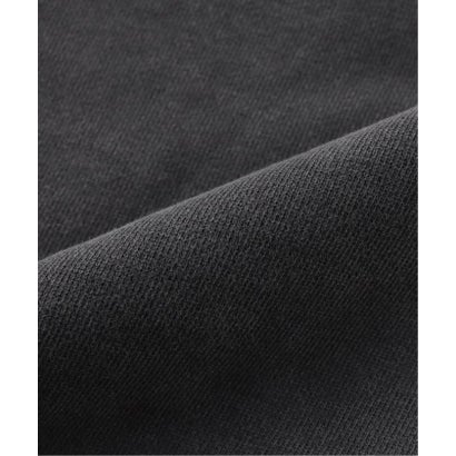 CARHARTT WIP / カーハート ダブリューアイピー HOODED VISTA JACKET （ブラウン）｜詳細画像