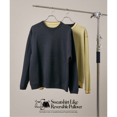 ベーセーストック B.C STOCK ANTS & ELEPHANTS 2TONE スウェットライクリバーシブルプルオーバー（ブラウン）｜詳細画像