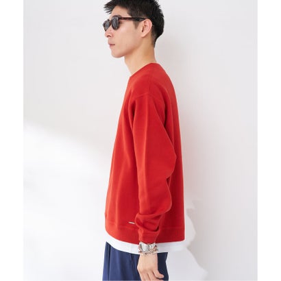 ベーセーストック B.C STOCK ANTS & ELEPHANTS 2TONE スウェットライクリバーシブルプルオーバー（グレーA）｜詳細画像
