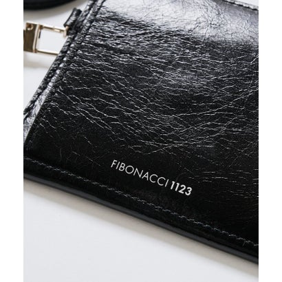フラグメントケース《FIBONACCI1123》 （silver）｜詳細画像
