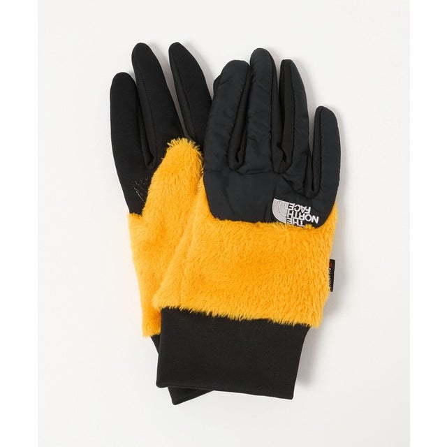 ＜THE NORTH FACE＞デナリ イーチップ グローブ （YELLOW）