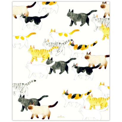 レターセット Paper＆Mood ペーパーパック Cat 目的に合わせて選べる常備箋 日本ホールマーク｜詳細画像