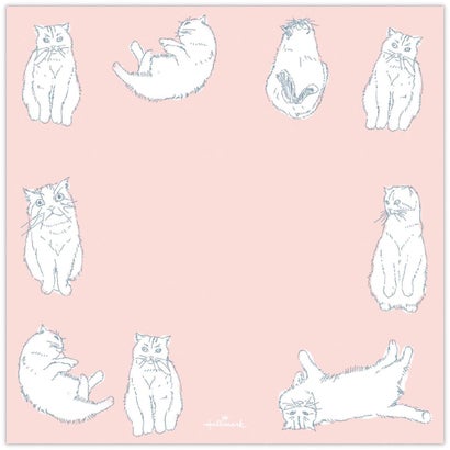 レターセット Paper＆Mood ペーパーパック Cat 目的に合わせて選べる常備箋 日本ホールマーク｜詳細画像