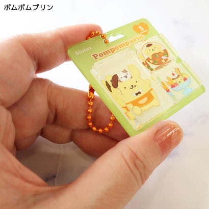 サンリオキャラクターズ キーホルダー Blistaz ブリスタズ ポムポムプリン Sanrio｜詳細画像