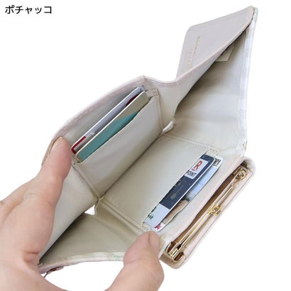 サンリオキャラクターズ ミニウォレット 口金財布 ポチャッコ Sanrio アルディ｜詳細画像
