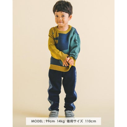 恐竜 配色 ニット (75~135cm) （グレー）｜詳細画像