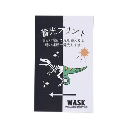 光る恐竜ロゴトレーナー(90~140cm) （ブラック）｜詳細画像