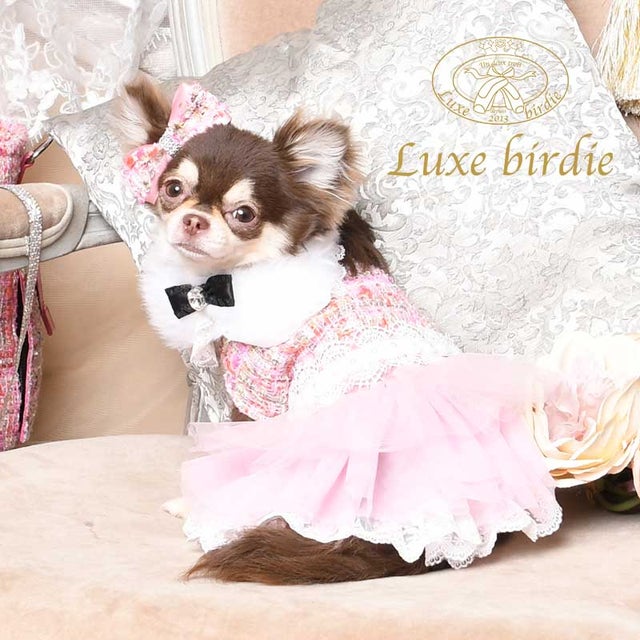 
                    Luxe birdie ツイードココドレス  SS ピンク【返品不可商品】 （ピンク）
