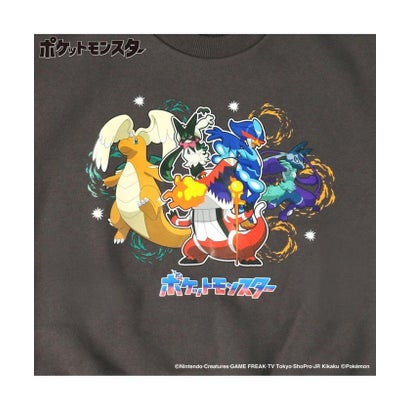 【ポケットモンスター（ポケモン）】裏起毛トレーナー （75:グレー）｜詳細画像