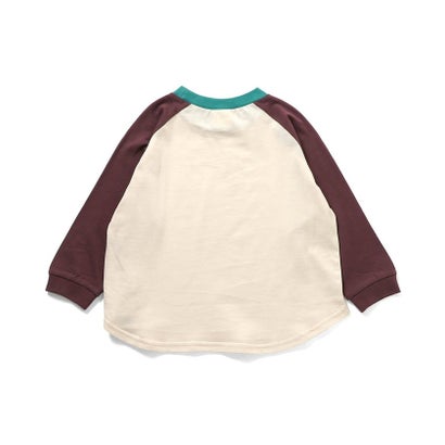 WEB限定  ラグランカラバリTシャツ （ブルー）｜詳細画像