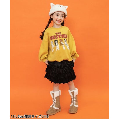 【リンク】BREEZY CATS にゃんシーントレーナー （ブラック）｜詳細画像