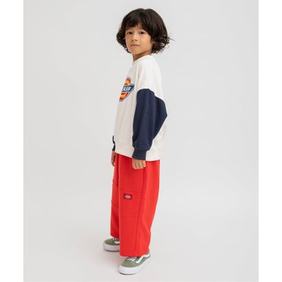 WEB限定【Dickies】切り替えカットソーパンツ  10分丈 （グレー）｜詳細画像