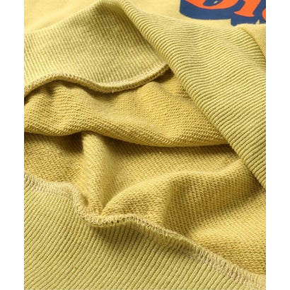 WEB限定【Dickies】ロゴトレーナー （アイボリー）｜詳細画像