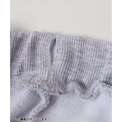 ブリーズ BREEZE ストライププリントパンツ_AAAL PRODUCTS  10分丈 （グレー）｜詳細画像