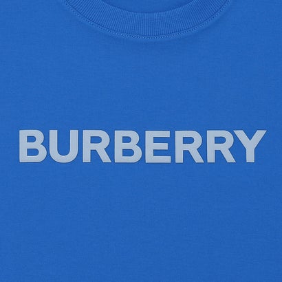 バーバリー BURBERRY Tシャツ ブルー メンズ BURBERRY 8065395 B5170 （VIVID BLUE）｜詳細画像