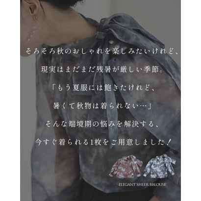 カワイイ CAWAII 見た目は秋服 体感夏服 ブラウス （ブルーグレー）｜詳細画像