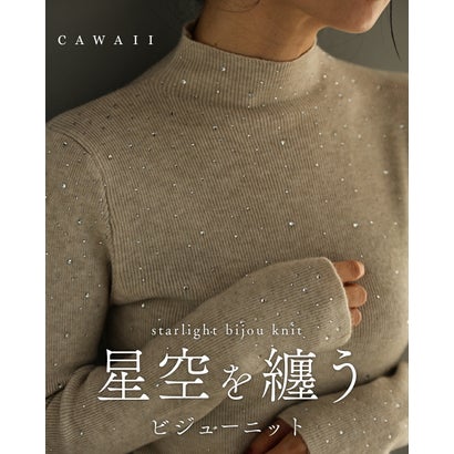 星空を纏うビジューニット （ベージュ）｜詳細画像