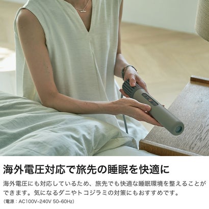 正規品1年保証 布団乾燥機 ダニ退治 ダニ ダニ対策 軽量 小型 消臭 省エネ 静音 海外電圧対応 スティック型 持ち運び 多機能 布団 乾燥 ふとん乾燥機 FOEHN 003 FEN-003 （ダークグレー）｜詳細画像