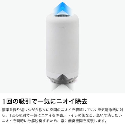 正規品1年保証 除菌脱臭機 オゾン脱臭機 空気清浄機 フィルター交換不要 小型 人感センサー LEDライト 消臭機 除菌 脱臭 ペット トイレ タバコ 生ごみ 10畳 サップ SAP-003 （ホワイト）｜詳細画像