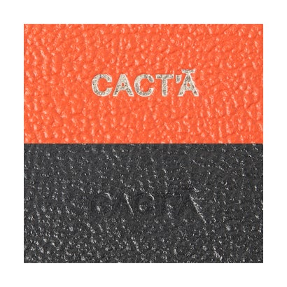 カクタ カードケース 名刺入れ 本革 CACT'A cacー2003 （ブルー×ホワイト）｜詳細画像