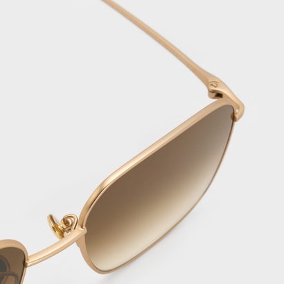 チャールズ アンド キース CHARLES & KEITH Elowyn エロウィン メタルリム アビエーター サングラス （Brushed Gold）｜詳細画像