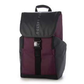 デルセー DELSEY PARIS 【 DELSEY 公式】 SECURFLAP セキュフラップ 