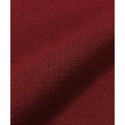 【2026AW】【ウール混 / M・L】ハイネックリブニットプルオーバー （レッド）｜詳細画像