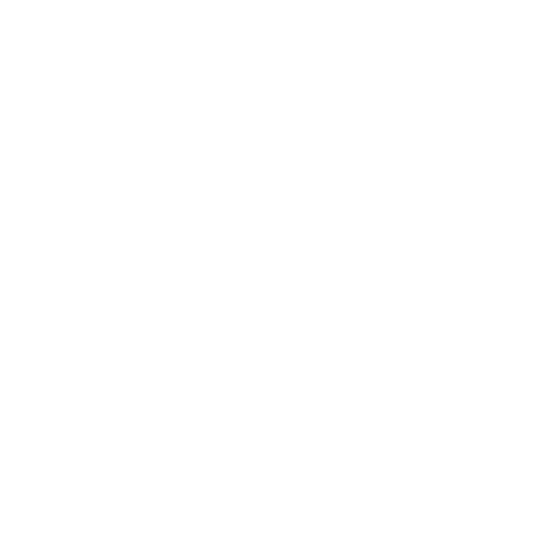 エヴェックス バイ クリツィア EVEX by KRIZIA 【ウォッシャブル】【接触冷感】スケッチアニマルTシャツ （オフホワイト）